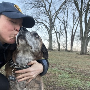 Fundraising Page: Holly Hardisty